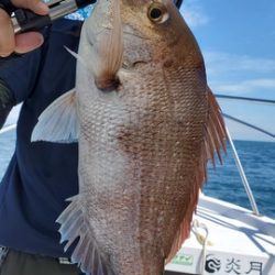 遊漁船 ニライカナイ 釣果