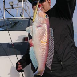 IDATEN（イダテン） 釣果