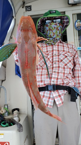 遊漁船 ニライカナイ 釣果