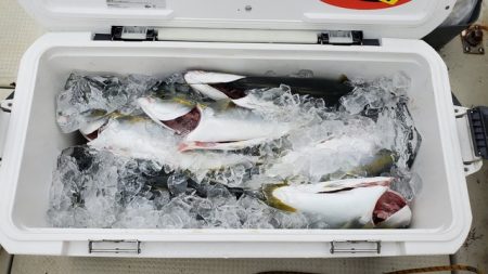 遊漁船 ニライカナイ 釣果