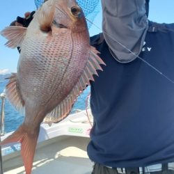 遊漁船 ニライカナイ 釣果