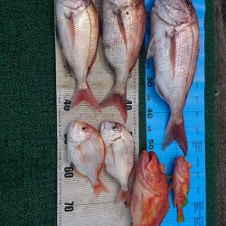 正幸丸 釣果