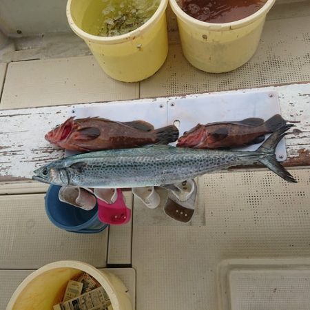 たかみ丸 釣果