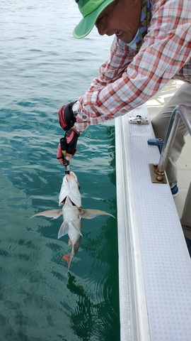 遊漁船 ニライカナイ 釣果