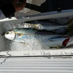 第二大福丸 釣果