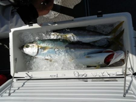 第二大福丸 釣果