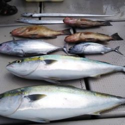 牛若丸 釣果
