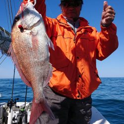 IDATEN（イダテン） 釣果