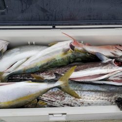 遊漁船 ニライカナイ 釣果