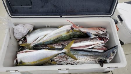 遊漁船 ニライカナイ 釣果