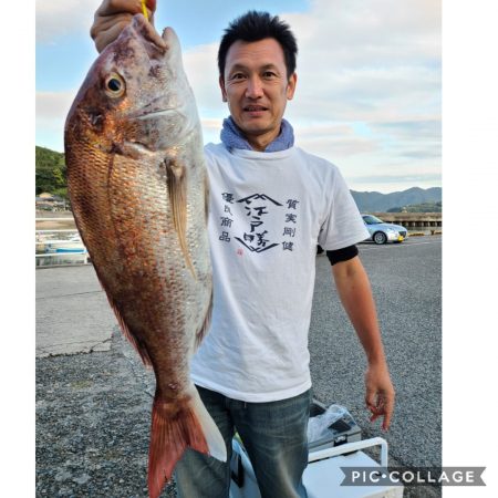 桑田観光 釣果