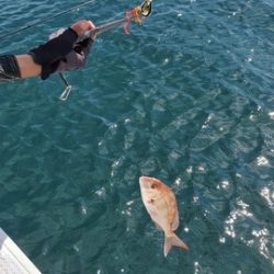 遊漁船 ニライカナイ 釣果