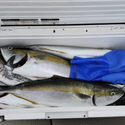 遊漁船 ニライカナイ 釣果