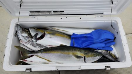 遊漁船 ニライカナイ 釣果