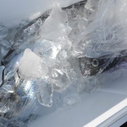 こうゆう丸 釣果