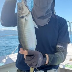 遊漁船 ニライカナイ 釣果