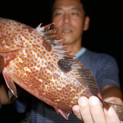 TOPGUN名古屋 釣果