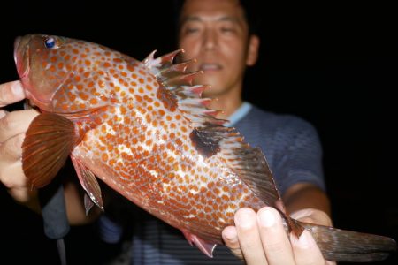 TOPGUN名古屋 釣果