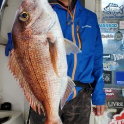 遊漁船 ニライカナイ 釣果