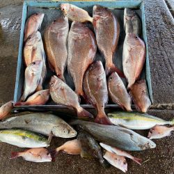 明神釣船 釣果