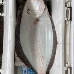 明神釣船 釣果