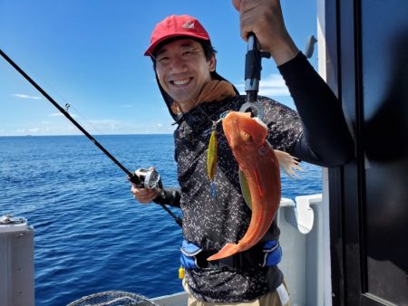 ブルーピア 釣果