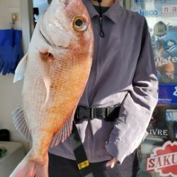 遊漁船 ニライカナイ 釣果