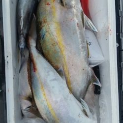 第五慶門丸 釣果