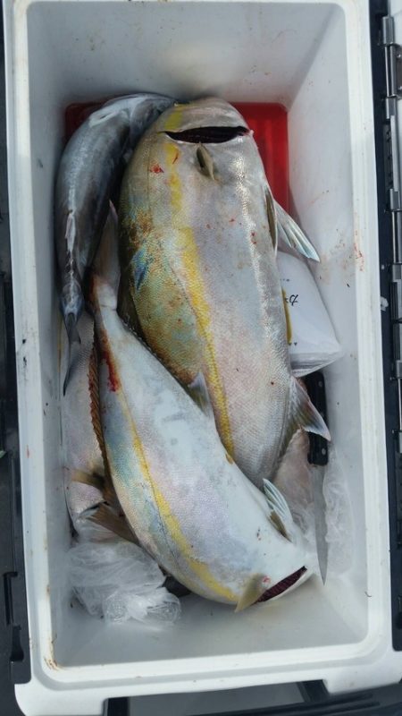 第五慶門丸 釣果