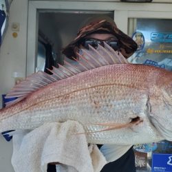 遊漁船 ニライカナイ 釣果