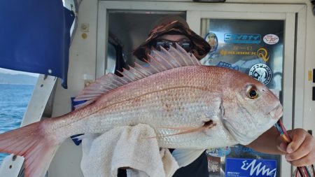 遊漁船　ニライカナイ 釣果