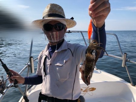 Magic(マジック) 釣果