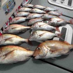 遊漁船 セトマリン 釣果