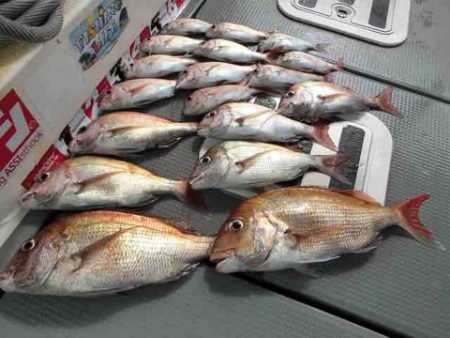 遊漁船 セトマリン 釣果