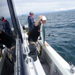 遊漁船 遊友 釣果