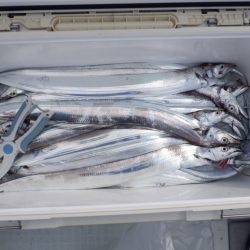 遊漁船 遊友 釣果