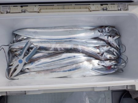 遊漁船 遊友 釣果