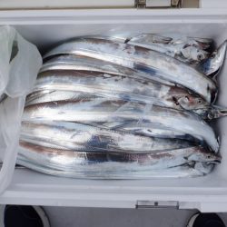 遊漁船 遊友 釣果