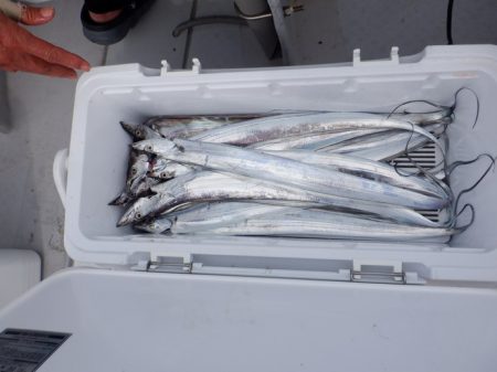 遊漁船 遊友 釣果