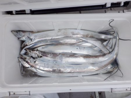 遊漁船 遊友 釣果