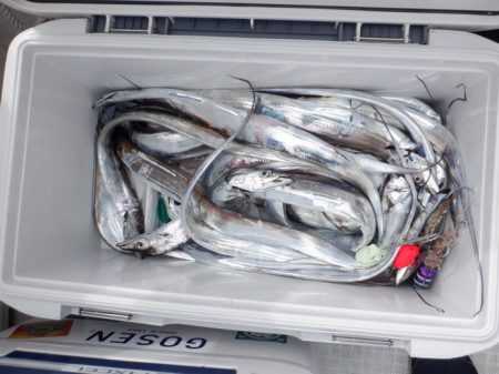 遊漁船 遊友 釣果