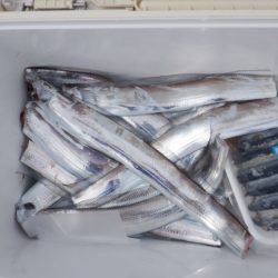 遊漁船 遊友 釣果