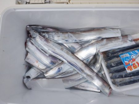 遊漁船 遊友 釣果