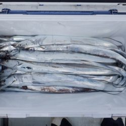 遊漁船 遊友 釣果