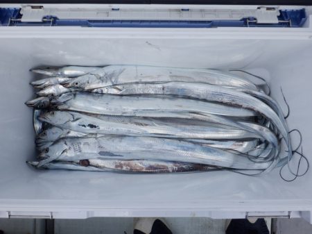 遊漁船 遊友 釣果