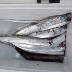 遊漁船 遊友 釣果