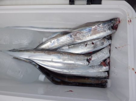 遊漁船 遊友 釣果