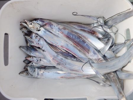 遊漁船 遊友 釣果