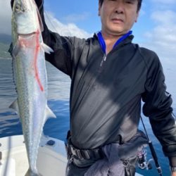 シーモンキー 釣果