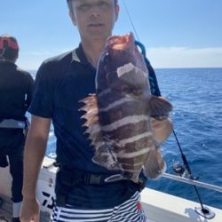 シーモンキー 釣果